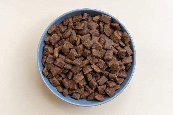 Les bienfaits des croquettes bio pour votre chien : une alimentation saine pour une vie pleine de vitalité