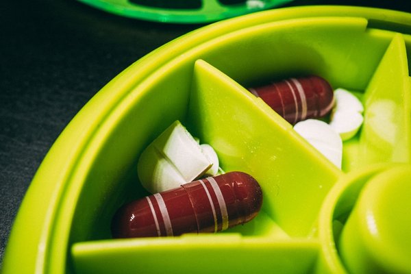 Les 10 meilleurs compléments alimentaires pour booster la santé de votre chien