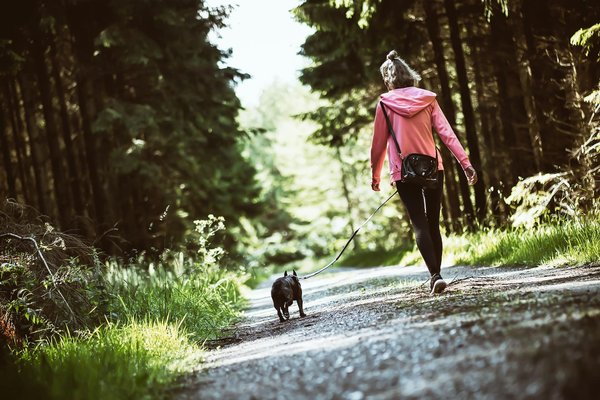 À quel âge commencer l'éducation de votre chien : Guide pratique pour débutants