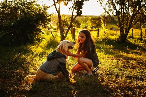 Comment Emmener Facilement son Gros Chien chez le Vétérinaire : Astuces et Conseils Pratiques