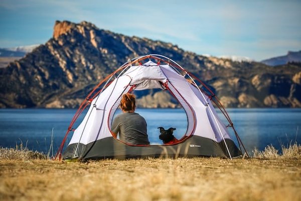 Campez heureux avec votre chien