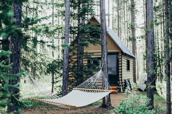 Top 5 des campings où vos animaux sont admis !