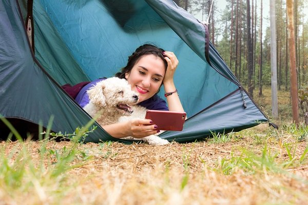 Top des campings amis des chiens en france