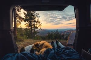 Camper avec son chien